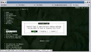 Descargando Webmin desde una consola